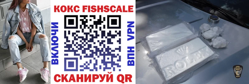 Купить закладки  Дубна  Cocaine FishScale 