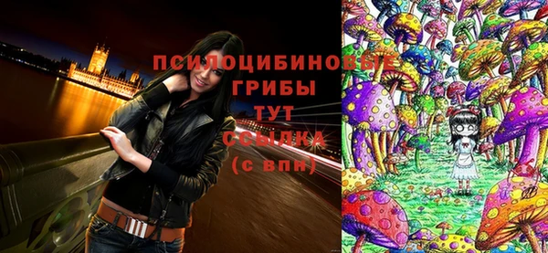 сатива Верхнеуральск