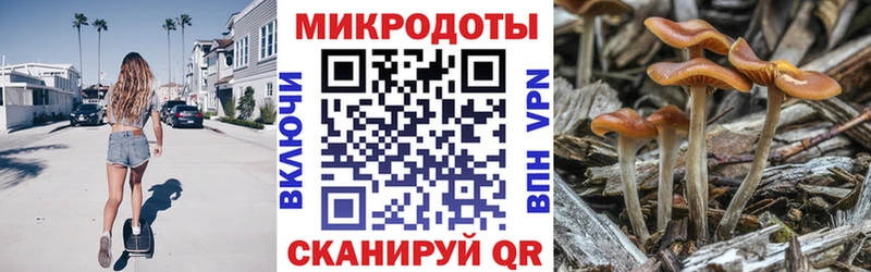 Купить закладки  Дубна  Псилоцибиновые грибы прущие грибы 