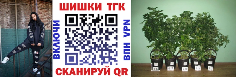 Купить где Дубна Конопля сатива